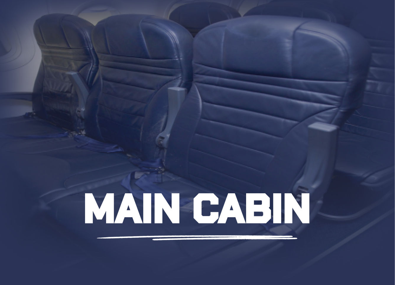 Main Cabin