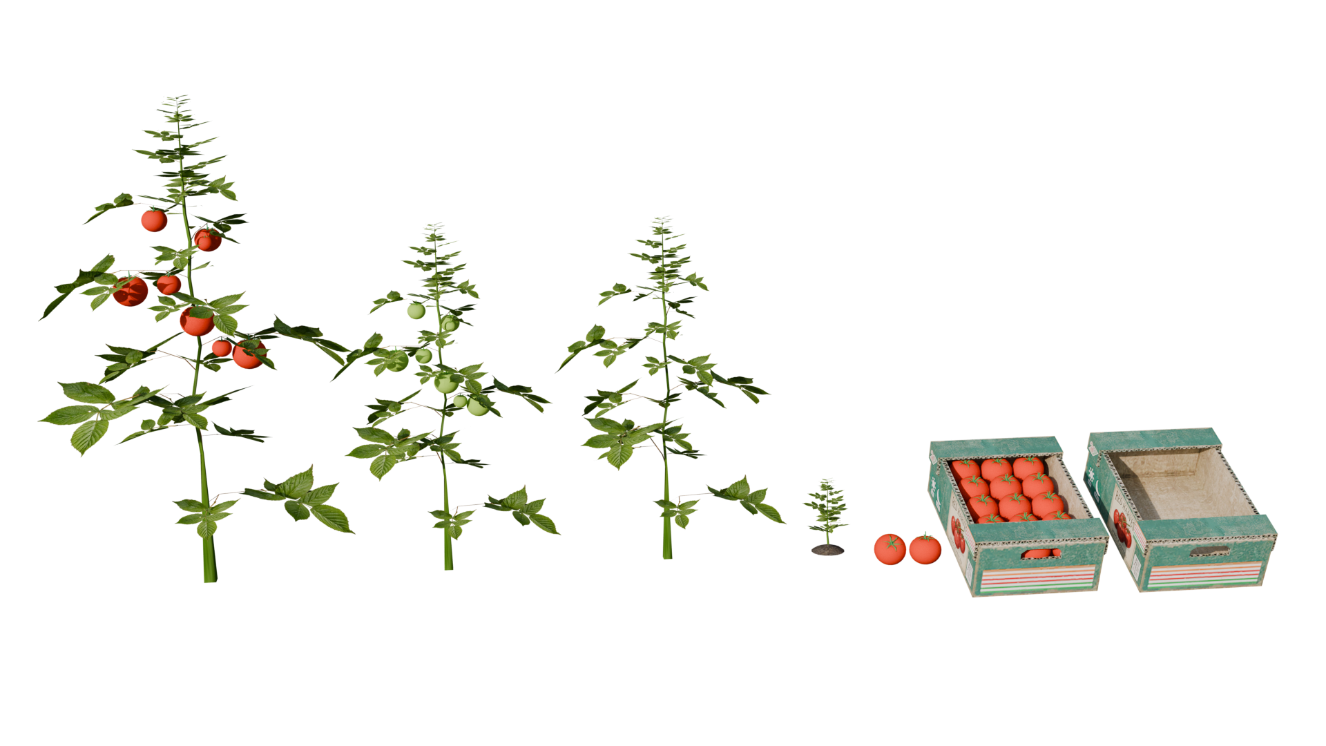 Realistic growing Tomato Farming Prop Pack for FiveM