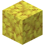 Horn Coral
