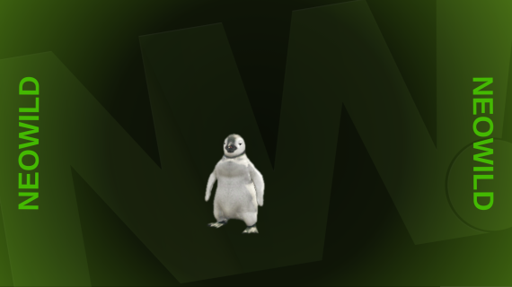 Baby Penguin