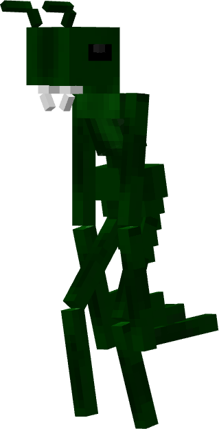 Mantis Pet