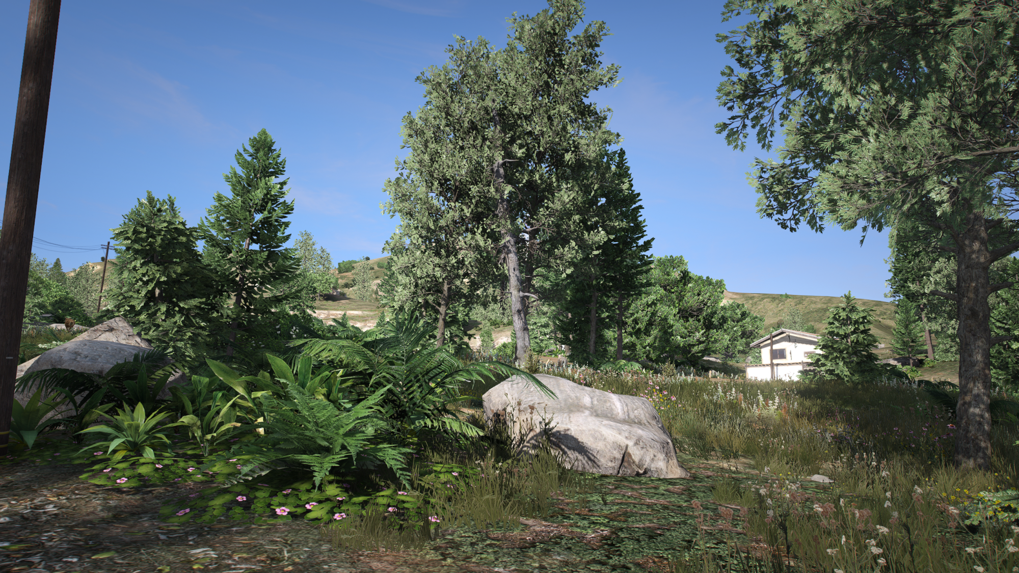 PX vegetation- mod for FiveM Client