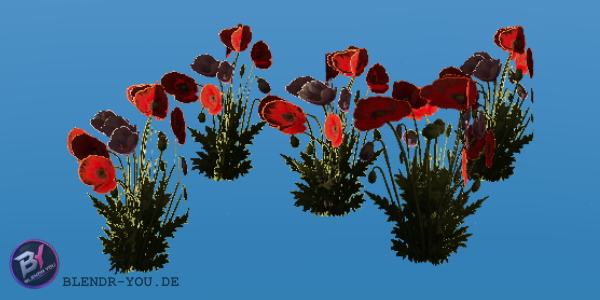 Poppy Plant