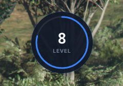XP and LEVEL SYSTEM