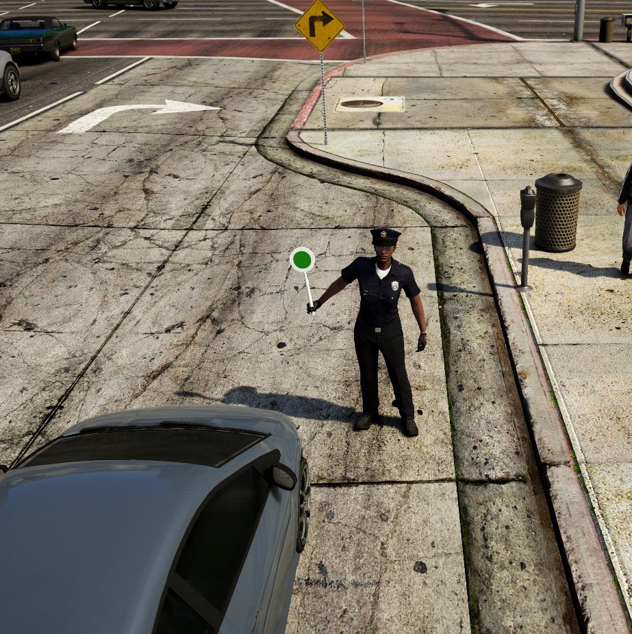 Police stop