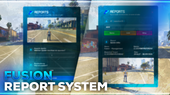Report System