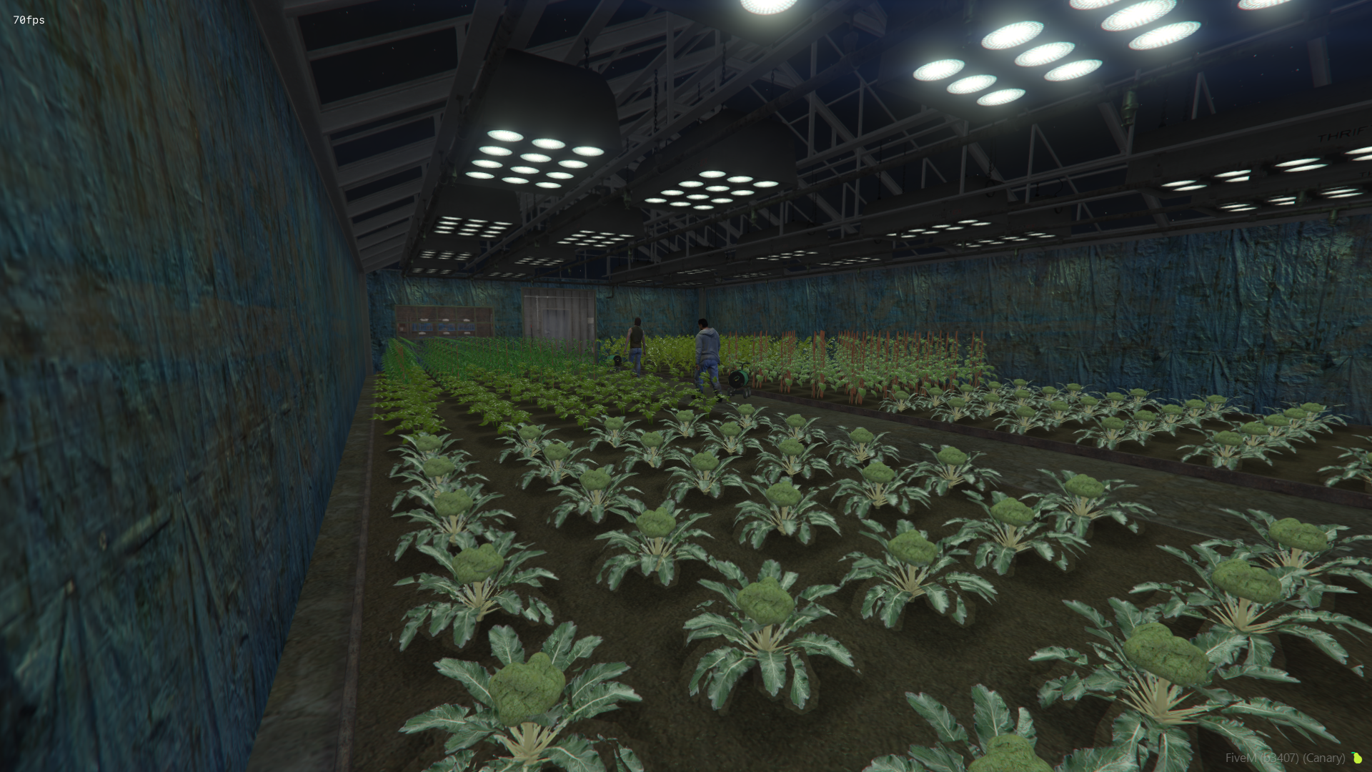 [Advanced Greenhouse] esx qbcore standalone {OPEN-SOURCE}