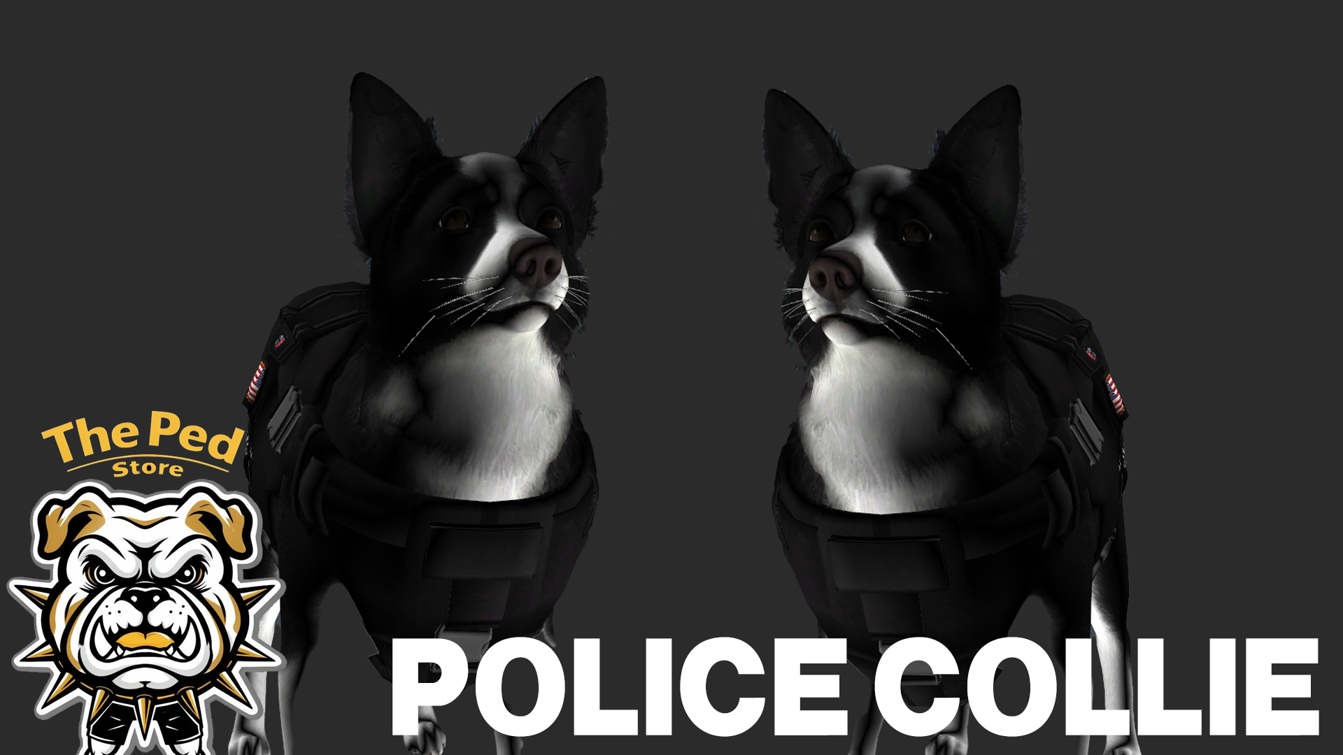 Police Collie v2