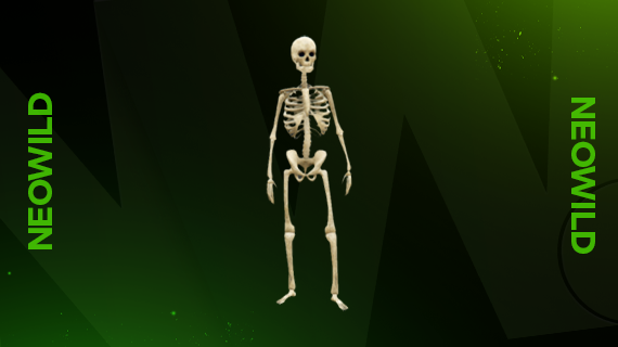 Skeleton