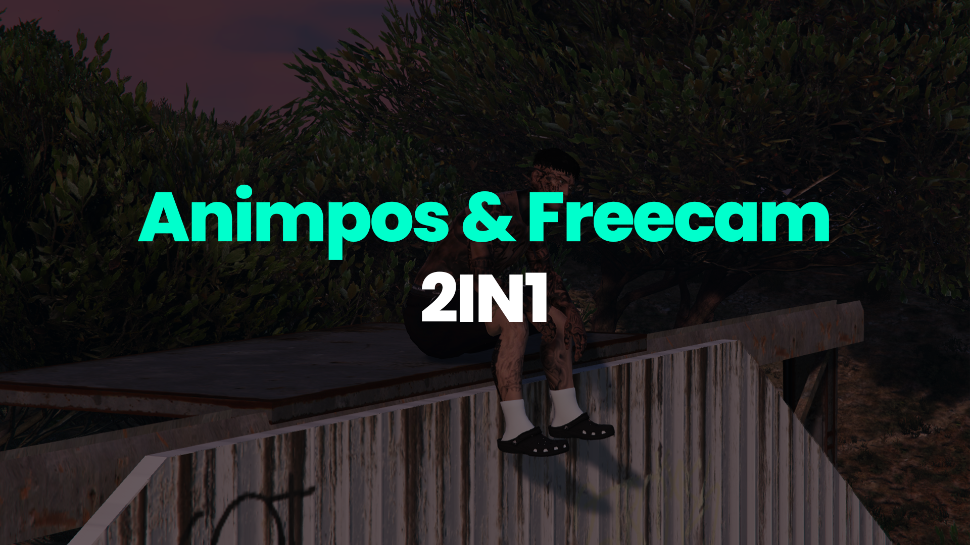 Animpos & Freecam