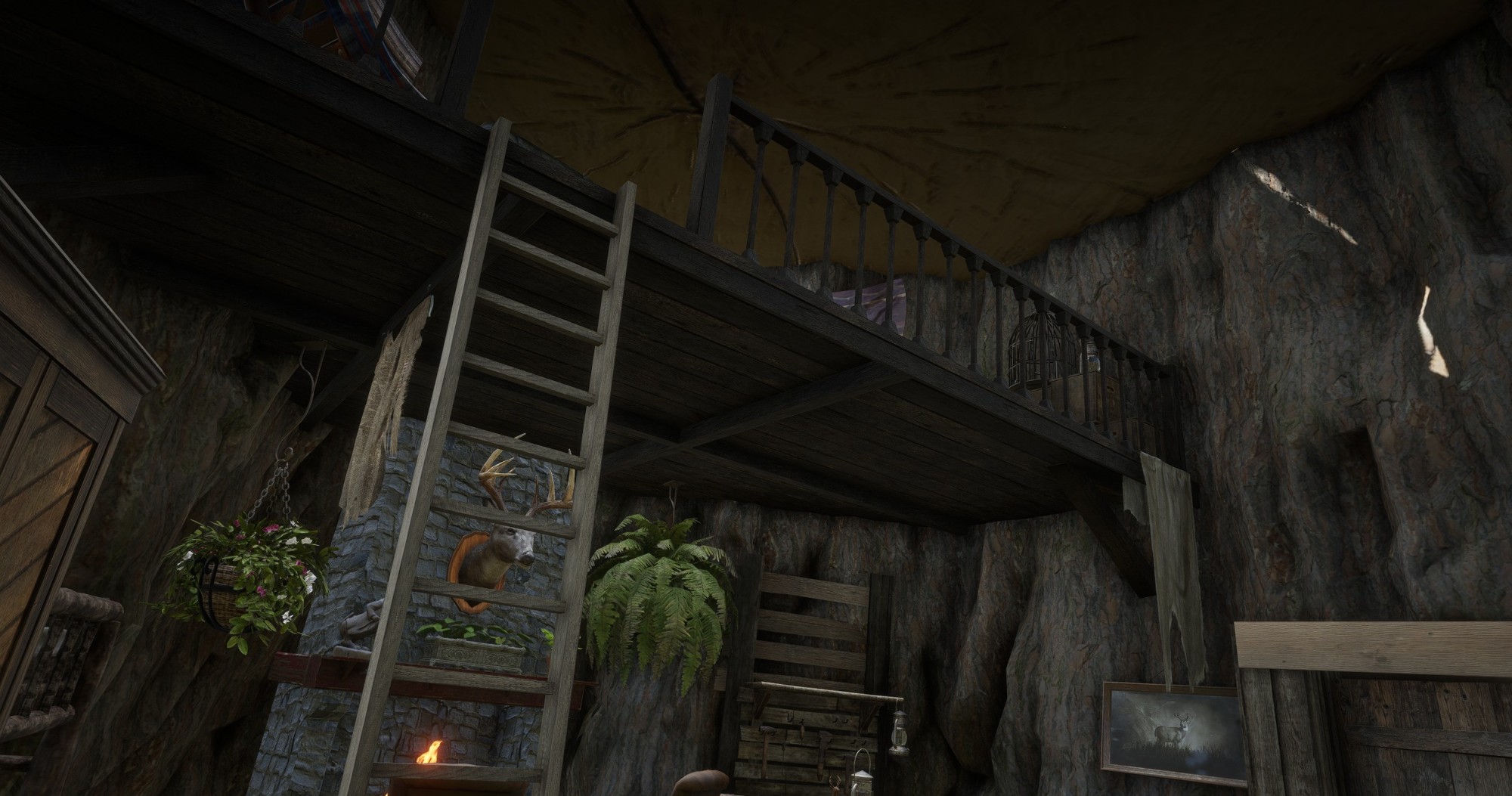 The Redwood Refuge