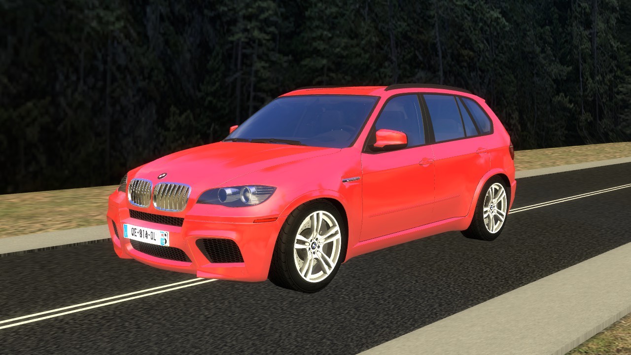 BWM X5N