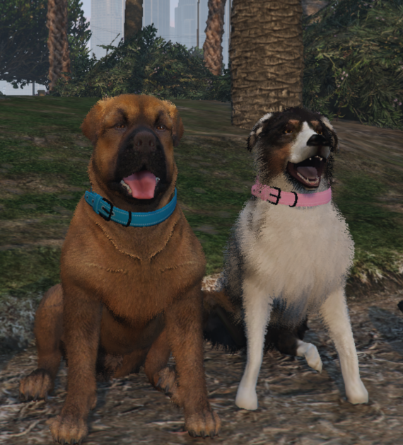 Pet Model Access - Lifetime