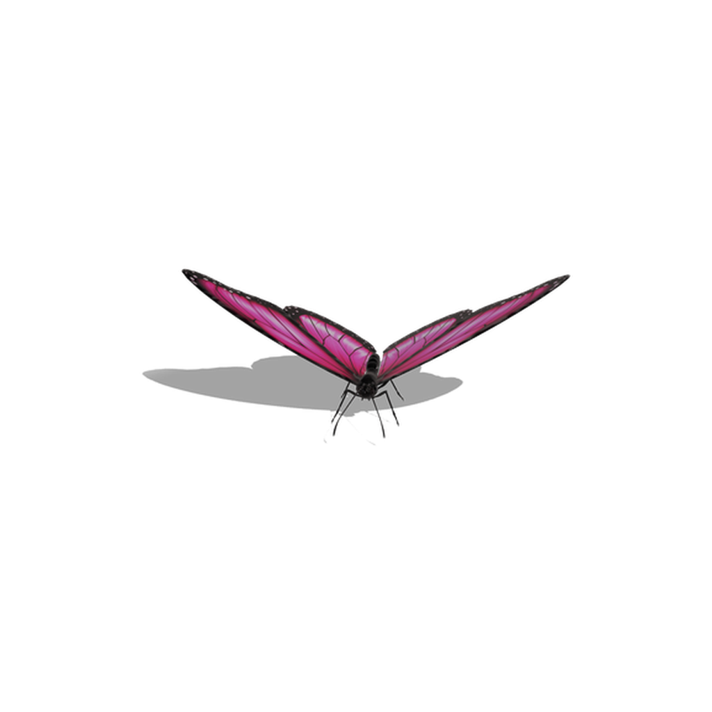 Pink Butterfly