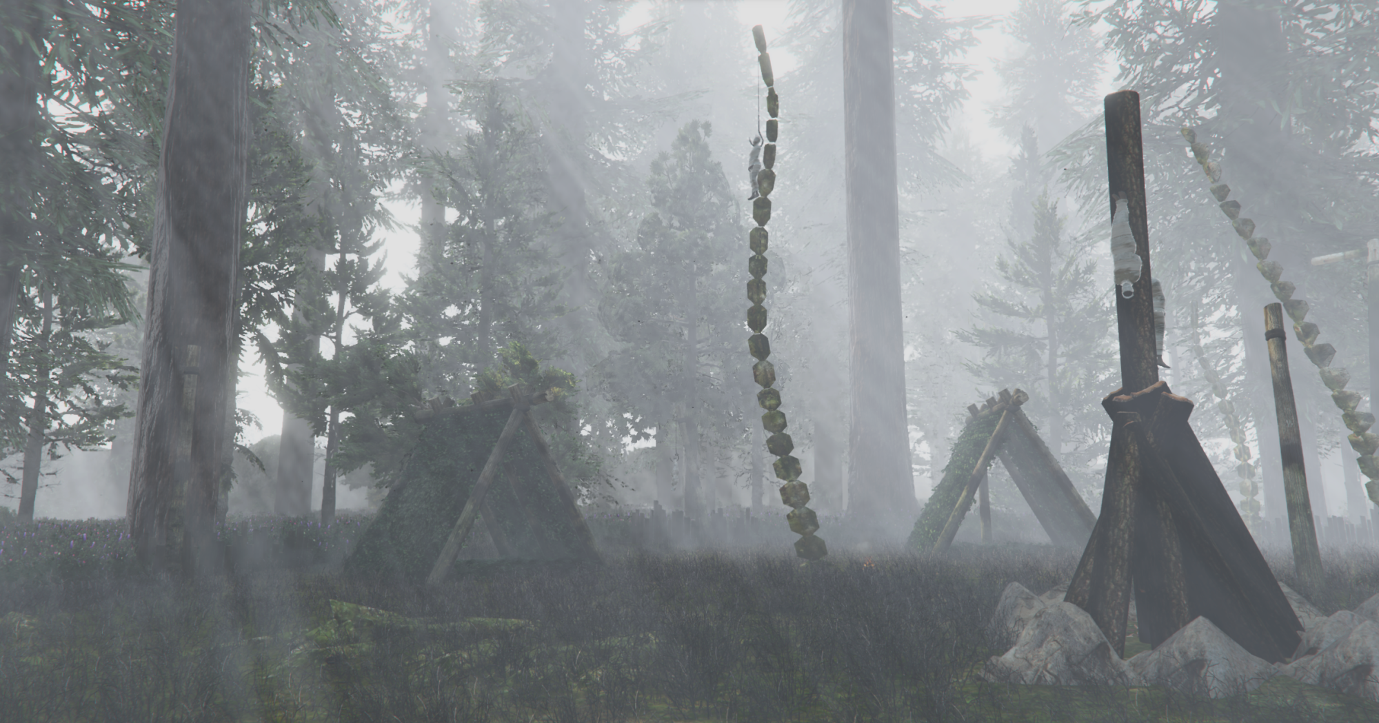 The Forest Island
