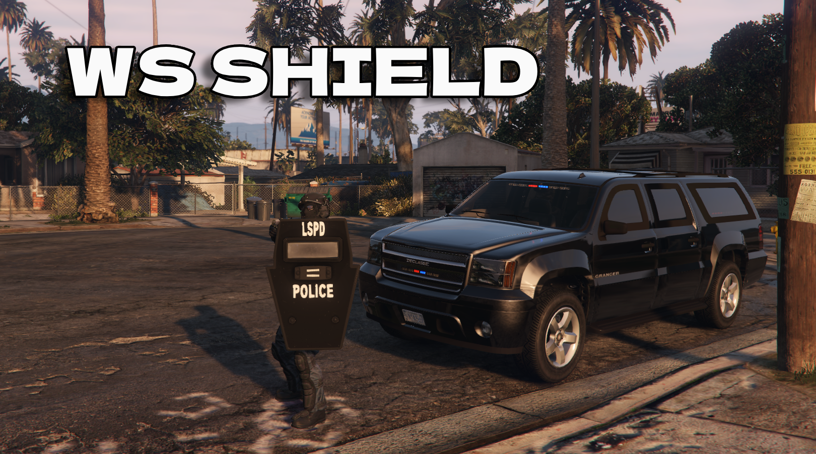 WS SHIELD | QBCORE ESX