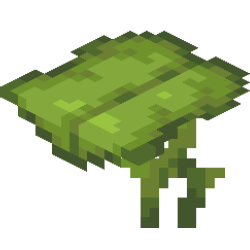 leaf+ Monthly Subscription