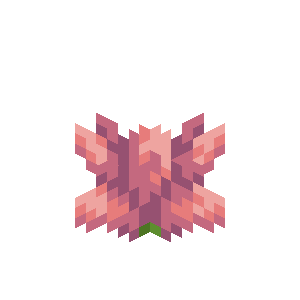 Lotus [30d]