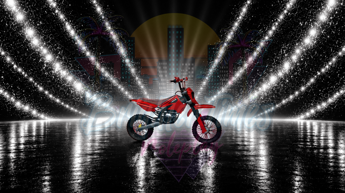 Vehicle Visual Access License: Pit Bike