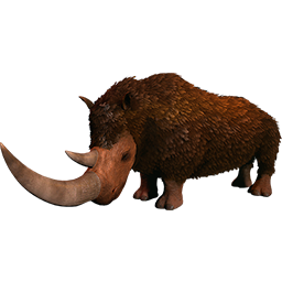 Whoolly Rhino