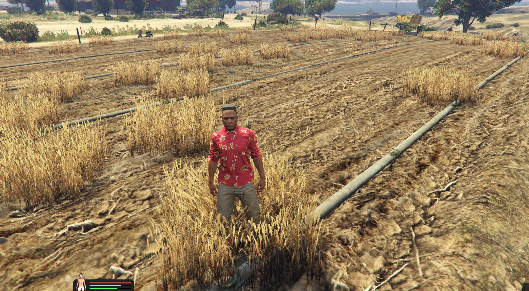 Wheatfield