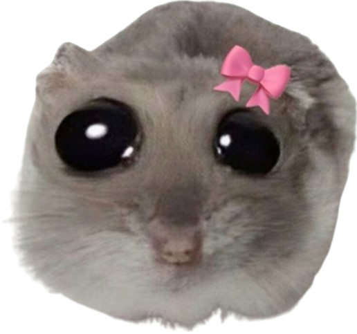 Sad Hamster Girl