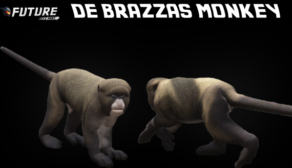 [ANIMAL] De Brazzas Monkey