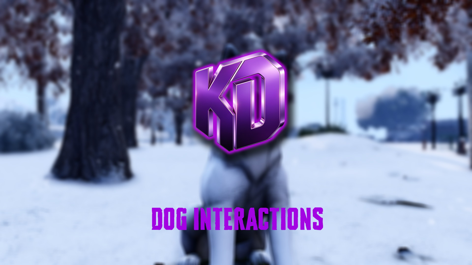 Dog Interaction