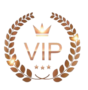 Bronz VIP