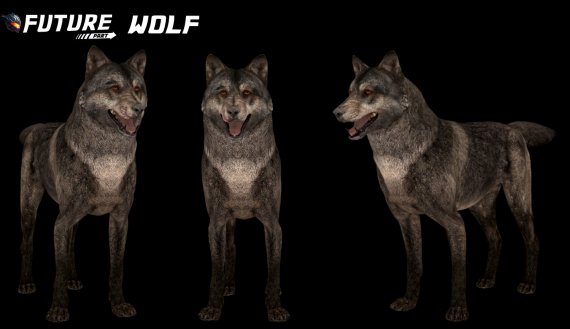 [ANIMAL] Wolf