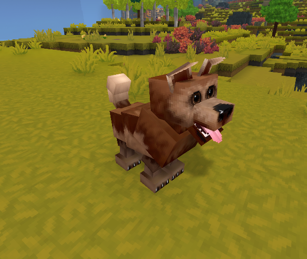 Dog