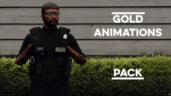 Gold Animation Pack