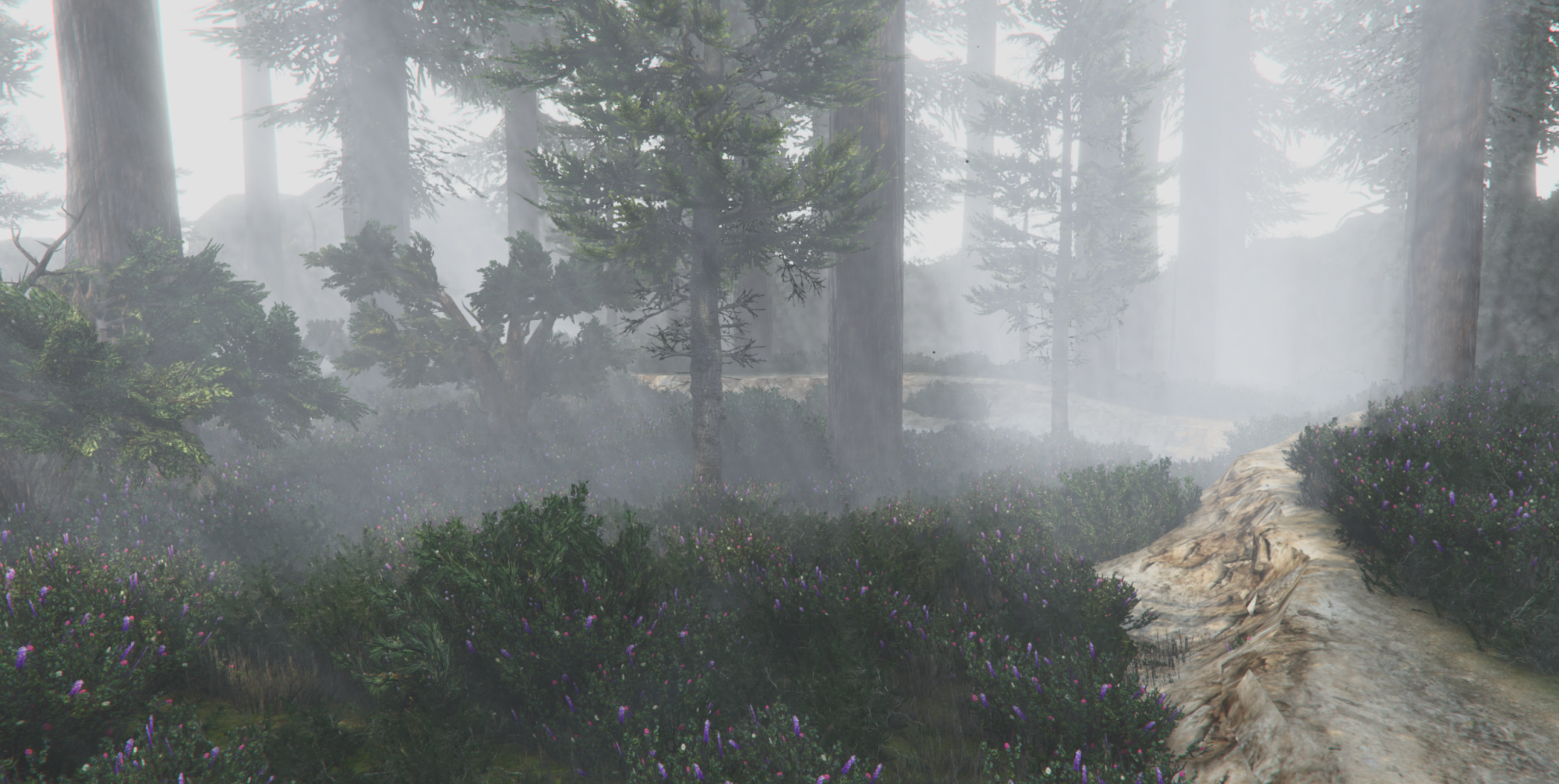 The Forest Island