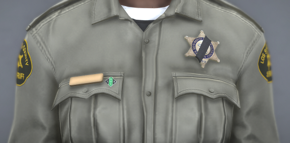 LSSD Pins
