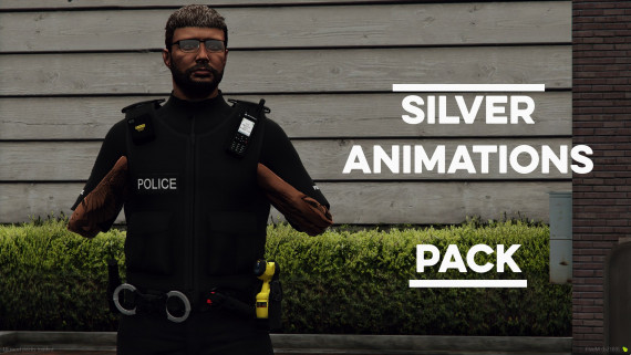 Silver Animation Pack