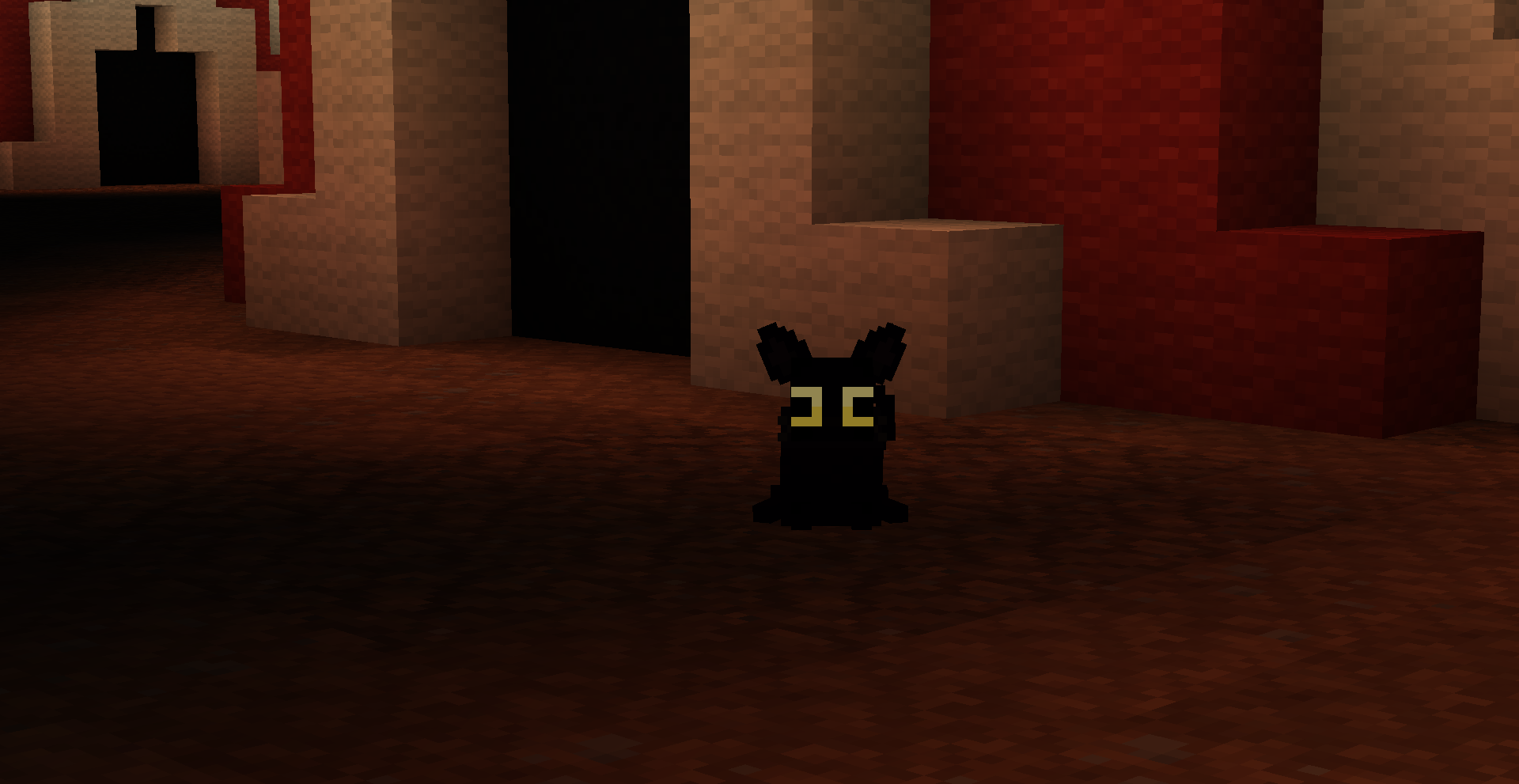Black Cat