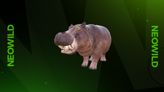 Hippo