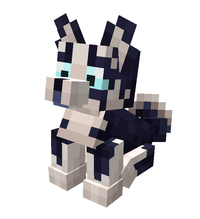 HUSKY