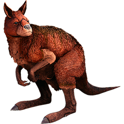 Procoptodon