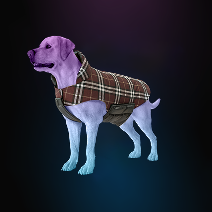 K9 Clothing
