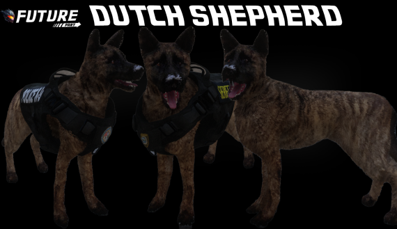 [DOG] Dutch Shepherd K9