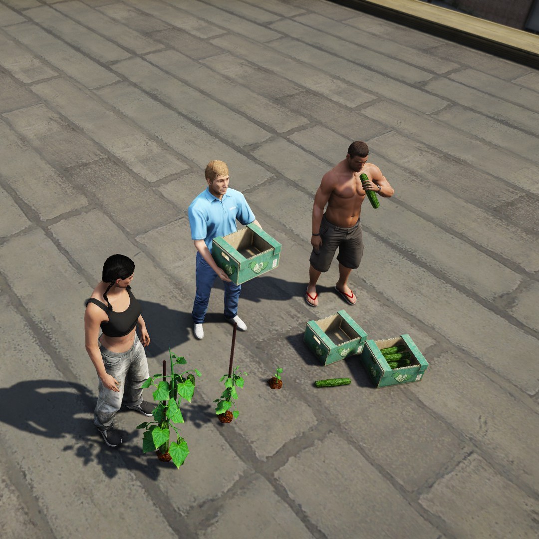 Cucumbers