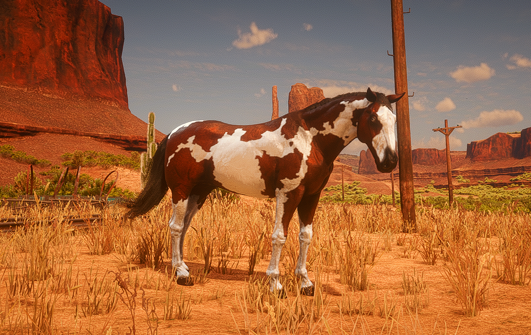Mestizo Chestnut Spoted - Macho