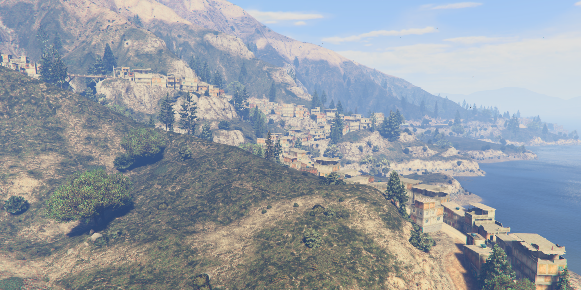 Peyote Favelas