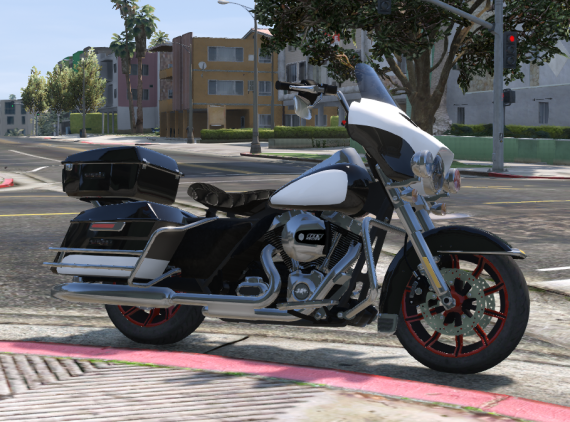 Old Man 204's Bagger LEO