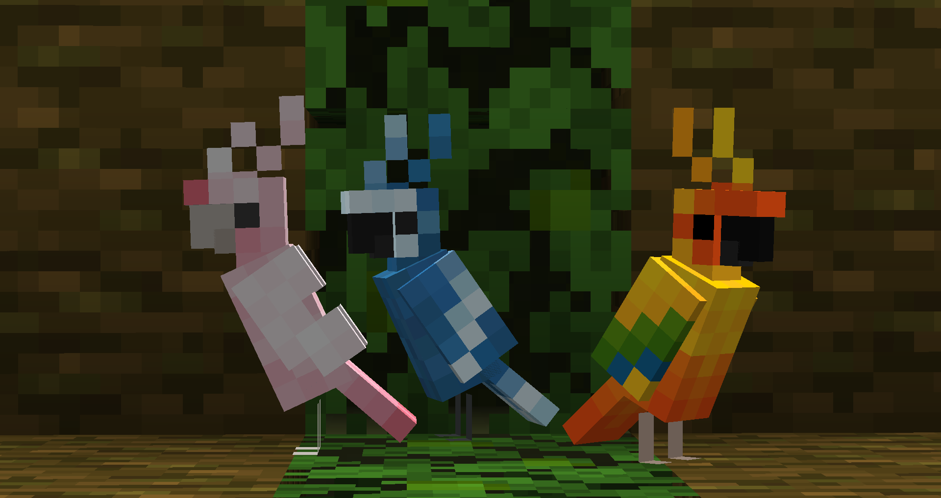 Orange & Pink Parrot Bundle