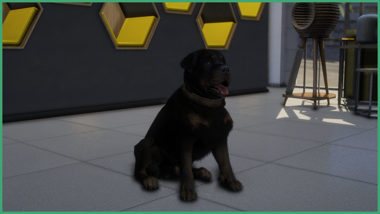 Black Rottweiler