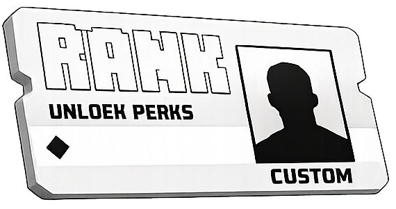 Custom rank ( forever )