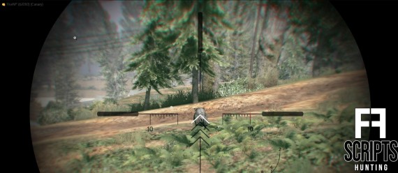 FF Hunting
