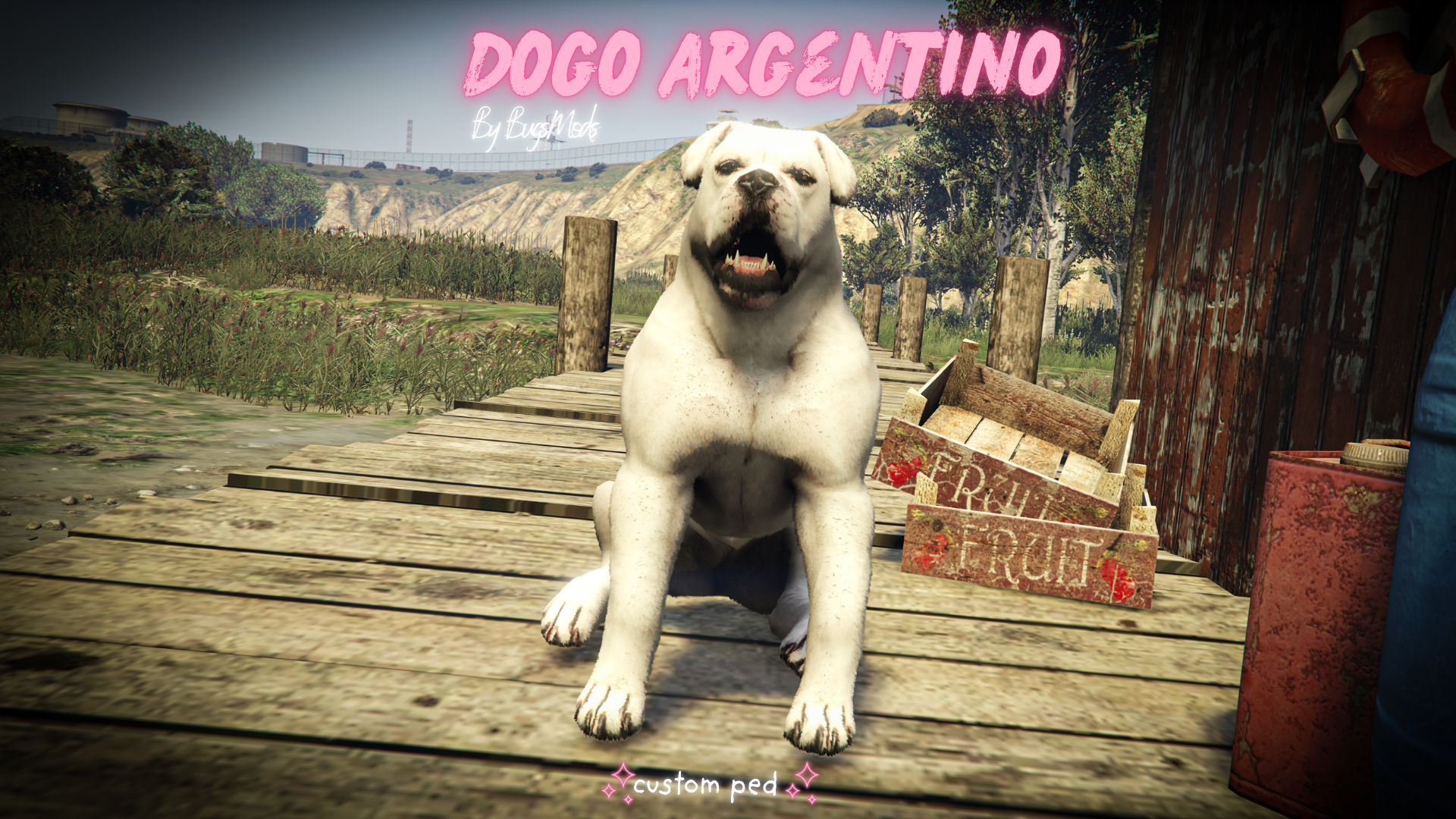 (ESCROWED) K9 / CIV Dogo Argentino Ped